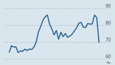 #13: “What Country (and What State) You’re Born in Influences Your Allocation” – Meb Faber Research #13: “What Country (and What State) You’re Born in Influences Your Allocation” – Meb Faber Research