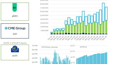 €STR volumes and market share – May 2025 | €STR volumes and market share – May 2025 |