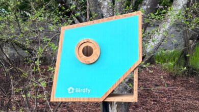 Best Bird Feeders With Cameras, Tested and Reviewed (2025) Best Bird Feeders With Cameras, Tested and Reviewed (2025)